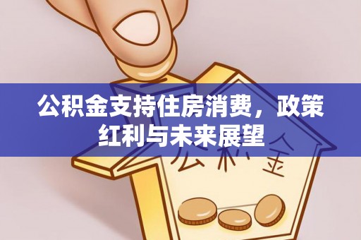 莫旗公积金支持住房消费，政策红利与未来展望