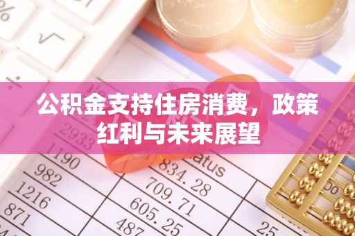 莫旗公积金支持住房消费，政策红利与未来展望